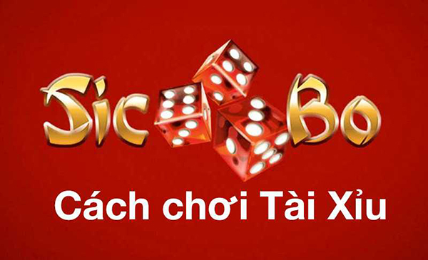 Các cách chơi tài xỉu online luôn thắng hay nhất hiện nay