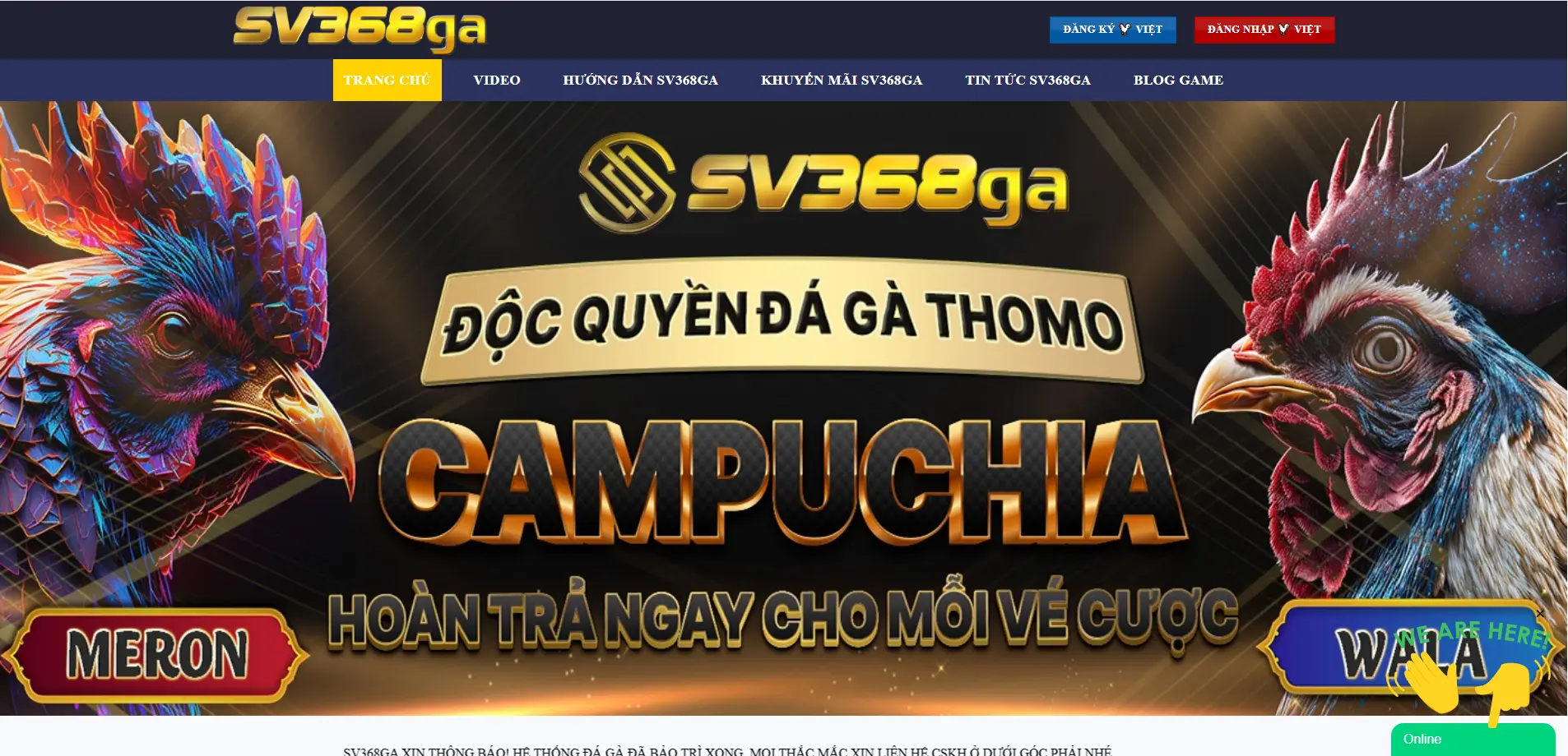 SV368GA - Nhà Cái Đá Gà Uy Tín Hàng Đầu Hiện Nay