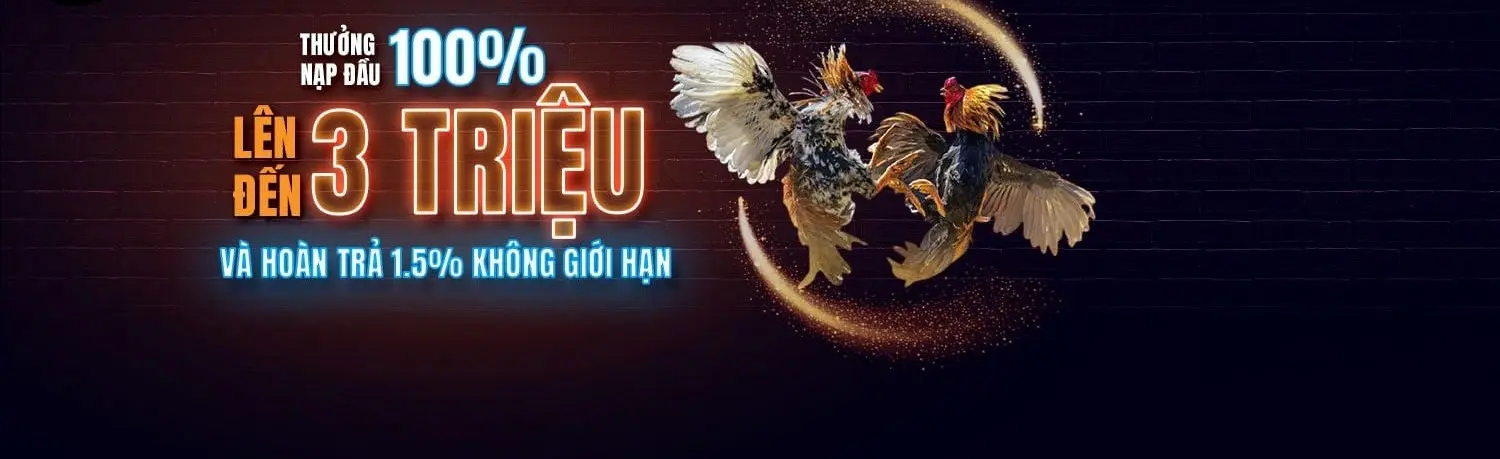 Daga7777 – Nhà Cái Cá Cược Đá Gà Trực Tiếp Số 1 Năm 2025
